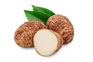 Arrowroot
