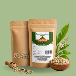 Cardamom white front Organic Cardamom (White)