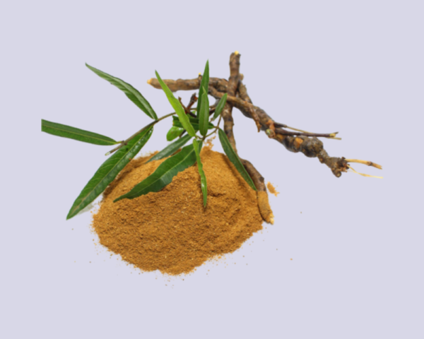 Nannari Powder